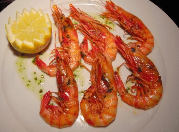 caleta12